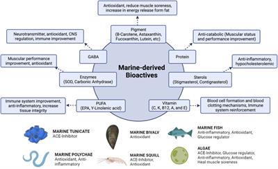 Marine-derived protein: peptide bioresources for the development of nutraceuticals for improved athletic performance